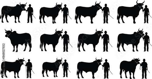 Bull and Farmer Silhouette Vector Set, Ranch Livestock Handling Scenes Collection for Agriculture Farming Rural Western Design Projects