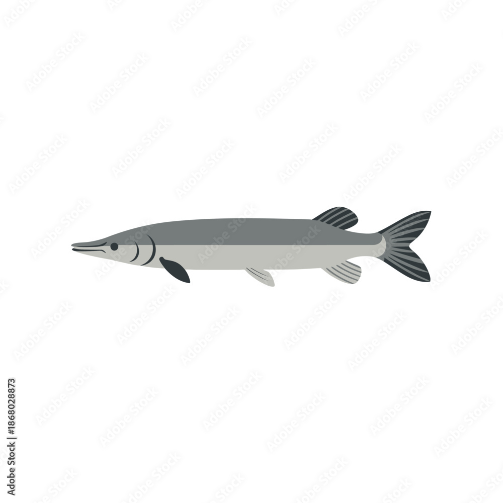 Obraz premium Detailed illustration of a longnose gar fish swimming in the water.