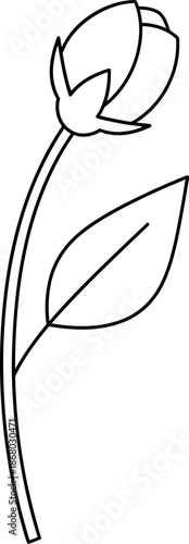 Simple flower bud line art