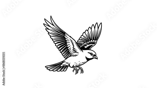 Eagle in flight vector illustration featuring a black silhouette of a flying bird with powerful wings and feathers designed as a symbol of freedom for nature wildlife art or a tattoo
