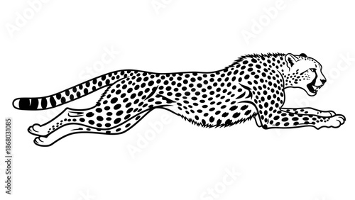 Minimalist Black White Running Cheetah Animal Vector Line Art Illustration