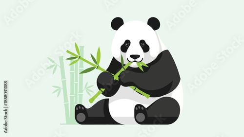 A cute cartoon illustration of a giant baby panda bear from China eating green bamboo in a wild nature forest design