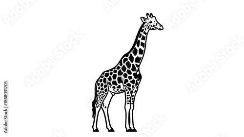 Minimalist Black White Giraffe Animal Vector Line Art Illustration