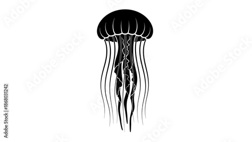 Monochrome Black and White Jellyfish Silhouette Illustration Design