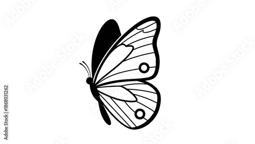 A colorful tropical swallowtail butterfly with vibrant orange and black wings isolated on a white background in a detailed macro closeup