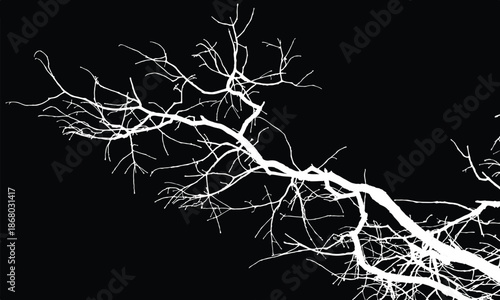 Silhouette of bare branche of a tree isolated on black background. Black and white vector illustration
