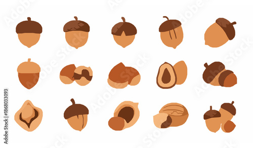 Cartoon nut and acorn icons set in flat vector style for nature and web design