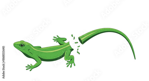 A vibrant green lizard exhibits its natural defense mechanism of autotomy, with its tail detached from its body as if to escape a predator.