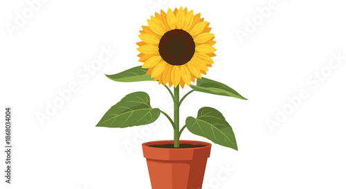 A cheerful and vibrant sunflower plant with bright yellow petals and lush green leaves, growing in a rustic terracotta pot.