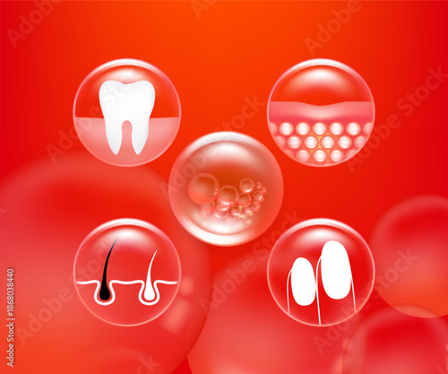 Hyaluronic acid hair teeth nails skin solutions ad, red collagen serum drop with cosmetic advertising background ready to use, illustration vector.