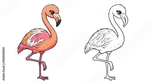 Adult Flamingo and Baby Flamingo Drawing Illustration Showing Parental Care And Nature Beauty