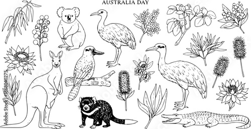 Australia Day Black and White Line Art Collection of Native Wildlife and Botanical Elements. Hand-Drawn Icons for Australian Nature, Travel, and Education.