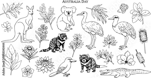 Australia Day Black and White Line Art Collection of Australian Native Wildlife, Birds, and Flora. Outline Set of Iconic Animals, Plants, and Symbols for Culture, Travel, and Education.