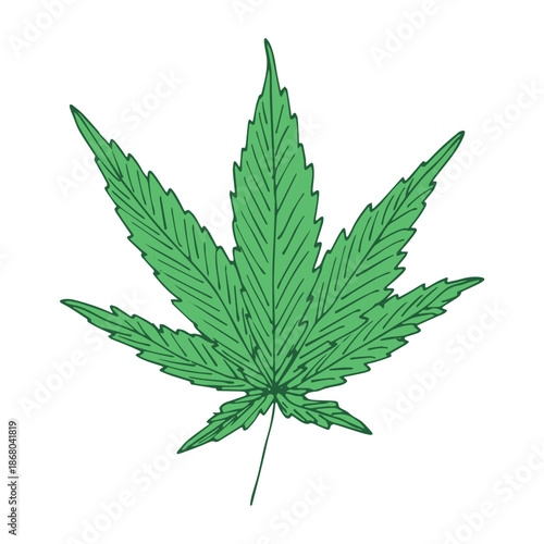 Hand drawn cannabis leaf Medicine marijuana Hemp leaves clipart in doodle style Single element for print, web, design, decor