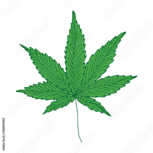 Hand drawn cannabis leaf Medicine marijuana Hemp leaves clipart in doodle style Single element for print, web, design, decor