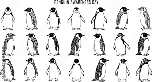 Hand-Drawn Black and White Line Art Illustration of Various Penguins for Wildlife Awareness Day and Nature Conservation