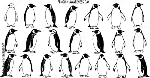 Penguin Awareness Day Vector Illustration - Black and White Line Art of Diverse Penguin Species