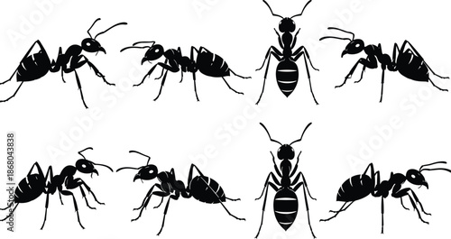 Ant silhouette, insect vector, black icon, segmented body, crawling pose, top view, side profile, graphic, illustration, nature, biologyAnt silhouette, insect vector, black icon, segmented body