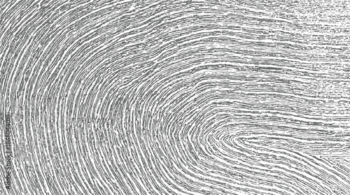 Close up macro view of a grey fingerprint pattern with concentric ridges and a clear whorl formation against a white background creating a unique textured abstract