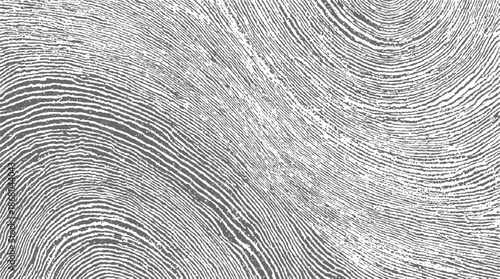 Abstract macro view of a grey fingerprint texture with flowing curved lines and organic ridges creating a detailed background pattern with a sense of movement and depth