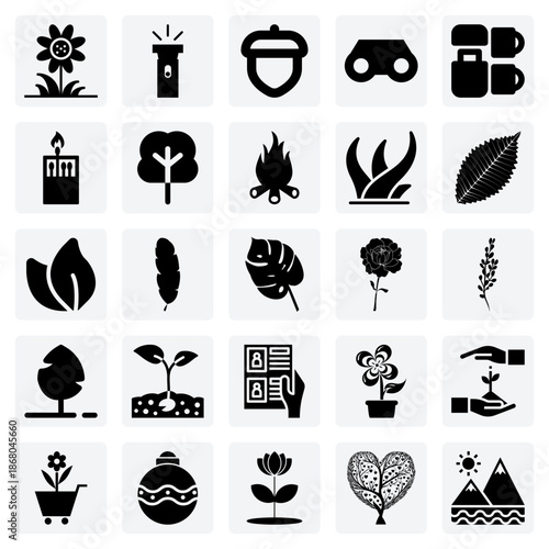 Exploring The Natural World – Forest Life With Acorns, Trees, And Essential Camping Equipment For Ecotourism