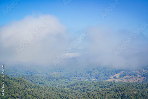 atmosphere mountain and fog in the morning