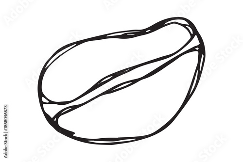 Hand drawn fresh roasted coffee bean Arabica robusta seed doodle Single element for print, web, design, decor