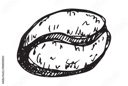 Hand drawn fresh roasted coffee bean Arabica robusta seed doodle Single element for print, web, design, decor
