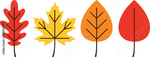 Autumn Leaves Collection Flat Vector Illustration with Colorful Fall Foliage Shapes for Seasonal Nature Design