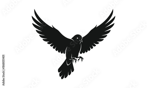 Majestic flying bird silhouette with spread wings on white background