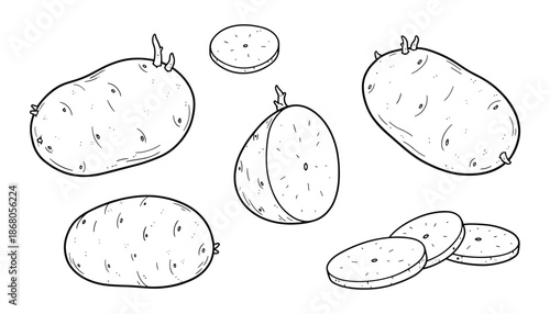 Outline drawing of potatoes cut and sliced for cooking on transparent backdrop
