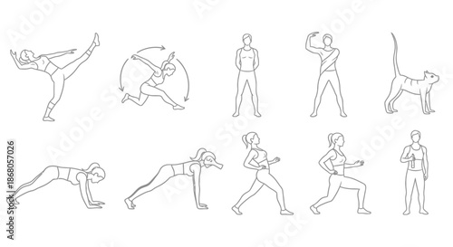Illustrations of various fitness and animal postures illustration