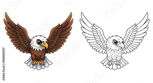 Colorful Eagle and Sketch Eagle in Flight Side by Side For Majestic Nature Designs