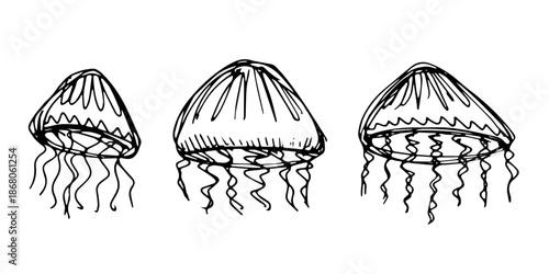 Set of hand drawn jellyfish doodle Sea animal illustration Cute marine underwater creature Medusa sketch clipart Single element for web, design, decor, children's print