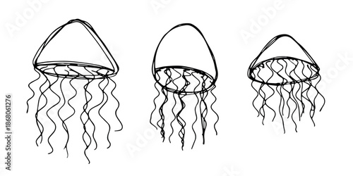 Set of hand drawn jellyfish doodle Sea animal illustration Cute marine underwater creature Medusa sketch clipart Single element for web, design, decor, children's print