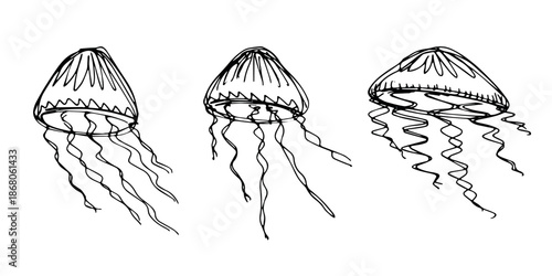 Set of hand drawn jellyfish doodle Sea animal illustration Cute marine underwater creature Medusa sketch clipart Single element for web, design, decor, children's print