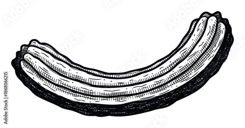 Classic hand drawn banana or plantain fruit with textured peel for food packaging labels cooking recipes or healthy eating advertisements.