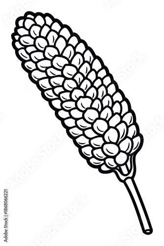 Simple black outline drawing of a botanical spike with distinct overlapping scales and a slender stem, suitable for food ingredient labels, brewing concepts, nature themes, or decorative