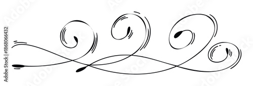 Elegant calligraphic swirl divider for classic document embellishment and decorative graphic design projects requiring graceful flowing line accents