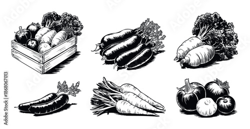 Assortment of hand drawn fresh vegetables and root produce including carrots broccoli tomatoes and bell peppers depicting healthy organic food for market packaging culinary blogs and