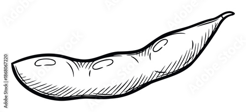 Simple hand drawn edamame pod sketch representing fresh nutritious healthy food for Asian cuisine menus and cooking blogs