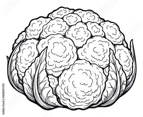 A clean black and white line drawing of a fresh cauliflower with its florets and leaves, ideal for organic food packaging, cooking recipe books, healthy lifestyle blogs, or educational