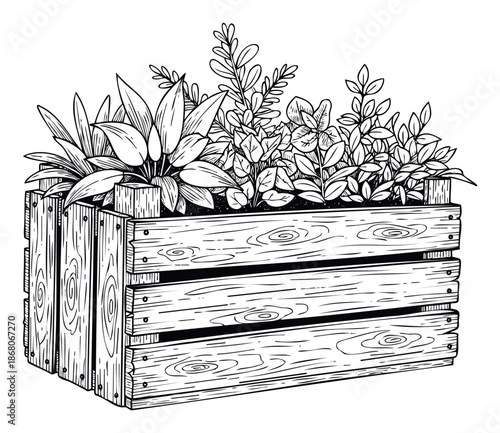 Rustic wooden planter box filled with fresh green herbs and leafy plants, ideal for gardening guides, kitchen decoration themes, or sustainable living content.