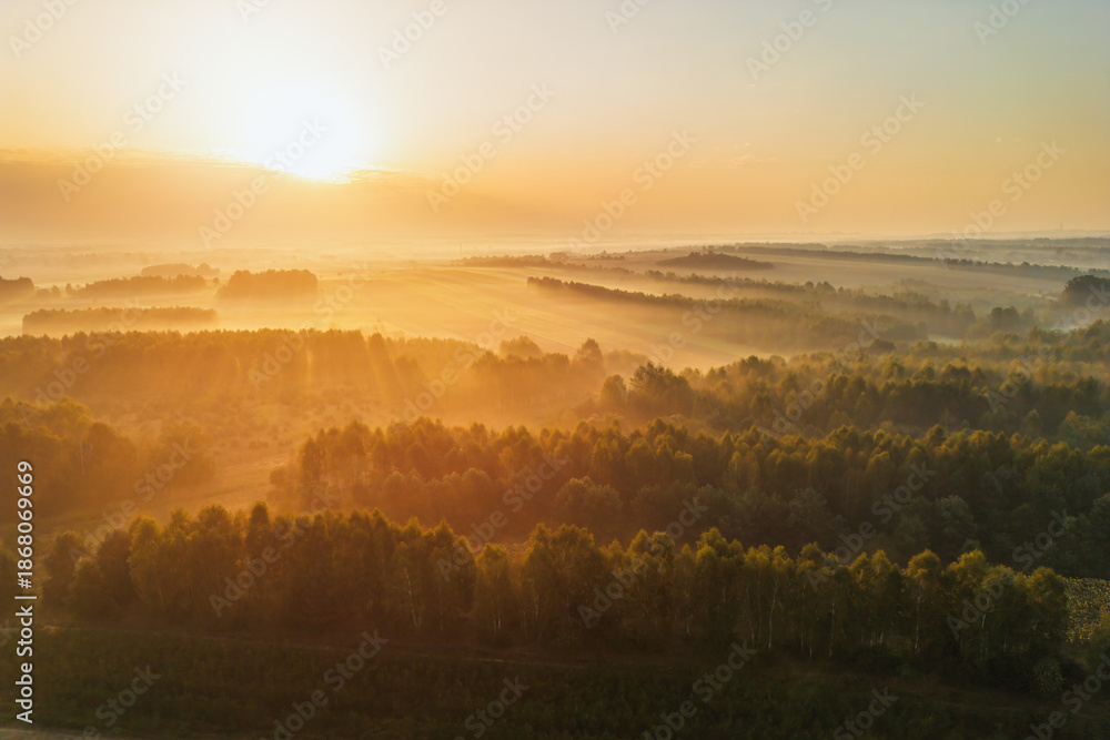 Fototapeta premium Misty hills with autumn trees