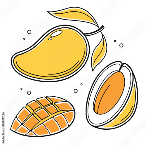 Mango illustrations featuring sliced and whole fruit with leaves