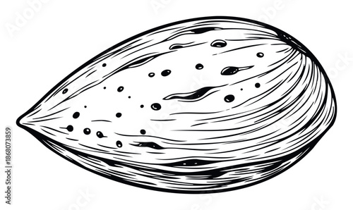 Hand drawn black and white sketch of a whole almond nut in its shell perfect for food packaging, healthy snack promotions, and culinary designs.