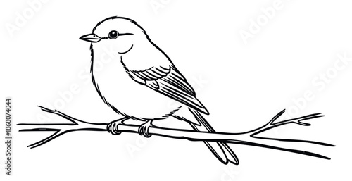 Simple outline drawing of a little bird perched on a tree branch, perfect for childrens coloring books, educational resources, or basic graphic design projects.