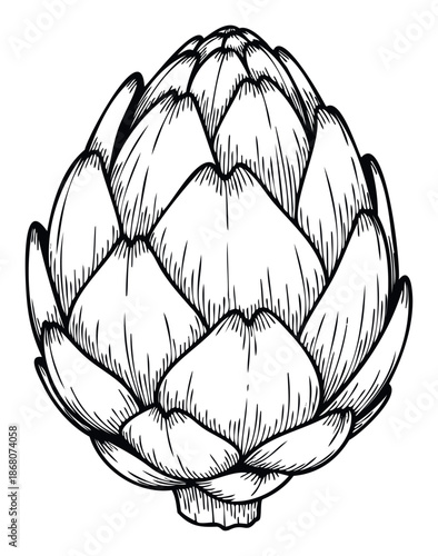 Detailed black and white line drawing of a fresh artichoke vegetable, perfect for culinary blogs, restaurant menus, cooking guides, and healthy eating promotions.