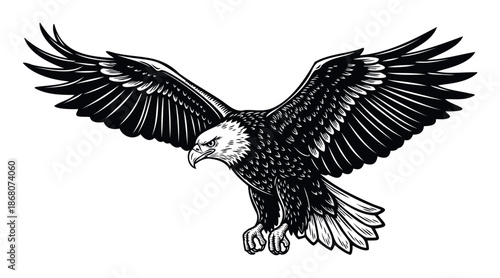 Majestic bald eagle with spread wings preparing to land, a powerful symbol of freedom and strength perfect for branding, logos, and identity graphics