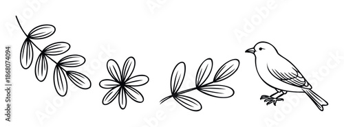 A charming line drawing featuring a small bird alongside delicate botanical elements, perfect for creating childrens book illustrations, naturethemed decorations, or greeting cards.